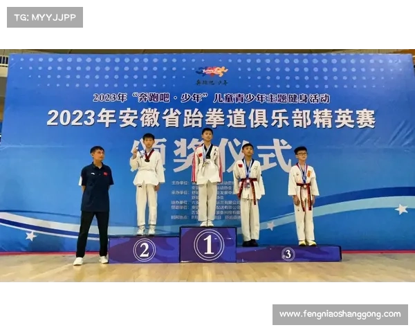 2019年最新跆拳道比赛规则